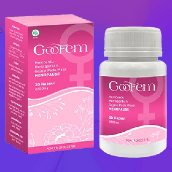 GOOFEM